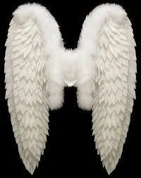 Dans quel film John Travolta porte-t-il un trench dont dépassent des plumes blanches  ?