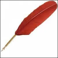 En Meuse (département de Lorraine), on utilise encore la plume d'oie, mais pour quoi faire  ?