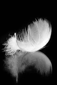 Il y a de multiples symboliques de la plume (coiffures, Divinités... ). Pour les Britanniques, que signifiait une plume blanche ?