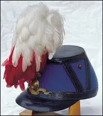 Sur la tête des Saint-Cyriens, les militaires de Coet Quidan, il y a un joli panache de plumes blanches. De quel oiseau proviennent-elles  ?