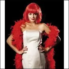 Comment se nomme l'écharpe de plumes portée par les élégantes d'antan et les danseuses de cabaret ?