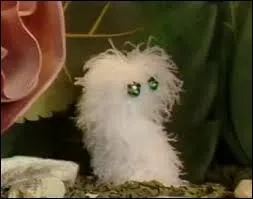 Quel nom portait la marionnette de Philippe Gentil, un grand ver tout en plumes d'autruche à gros yeux  ?