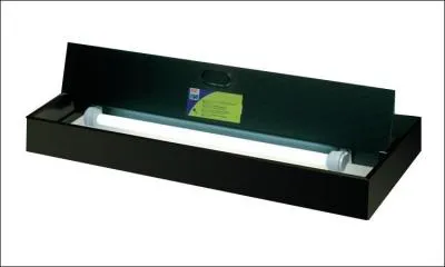 Dois-je couvrir mon aquarium ?