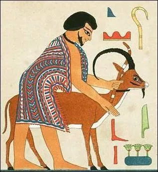 Cette masse humaine venant d'Asie sera un patchwork de nomades de barbares : quelle est l'ethnie commune de ce peuple ?