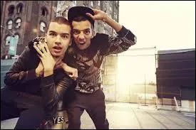 Qui chante "Gangsta" ?