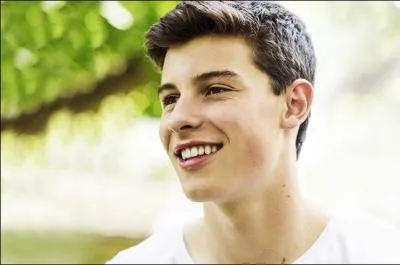 Qui chante "Stitches" ?