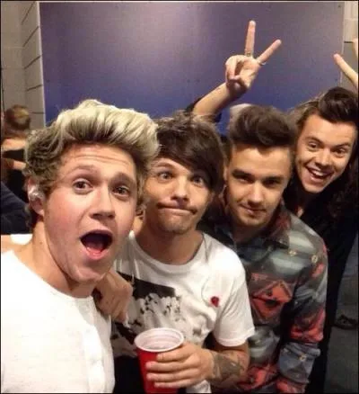 Comment se nomme la chanson qui est sortie après "Drag Me Down" ?