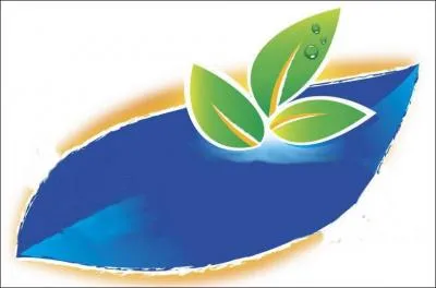 Quelle marque de boisson ) se cache derrière l'image ?