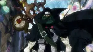 Qui est-ce ? (Fairy Tail)