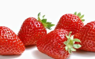Quiz Fruits
