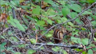 Retrouvez le nom d'un personnage célèbre actuel !