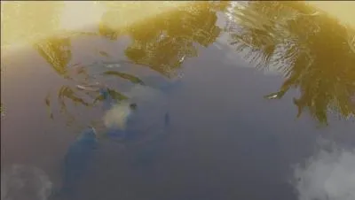 Avancer sans savoir où l'on va !