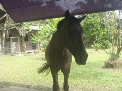 Trouvez le titre du film !
