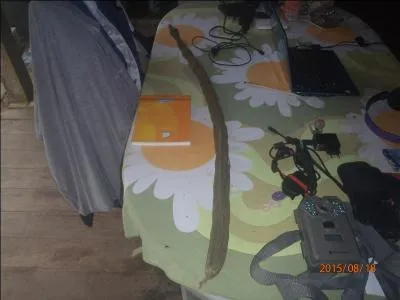 A quoi vous fait penser l'objet très long, posé sur la table !