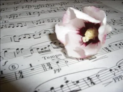 Comment était la fleur pour Sidney Bechet ?