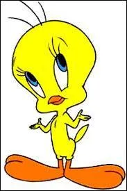 Quel est le nom de ce petit canari ?