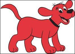 Quel est le nom de ce chien rouge ?
