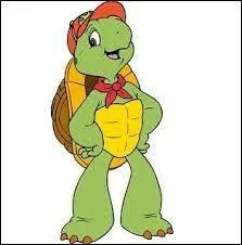 Quel est le nom de cette tortue ?