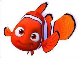 Quel est le nom de ce petit poisson ?