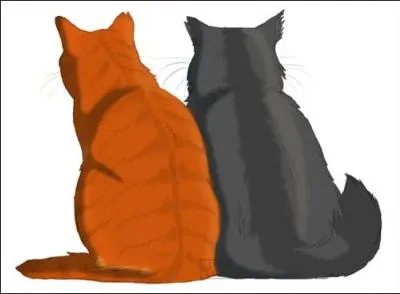 Qui sont ses deux meilleurs amis ?