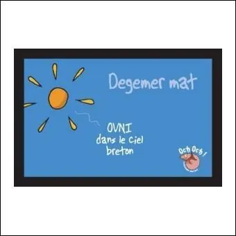 Qu'est-ce que le mot 'OVNI' ?