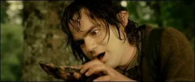 Qui trouve l'anneau unique au fond de la rivière ?