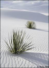 Dans quel pays peut-on voir ces dunes de gypse de White Sands ?