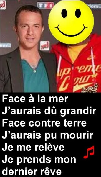 Qui chante avec Calogero en 2004 ?