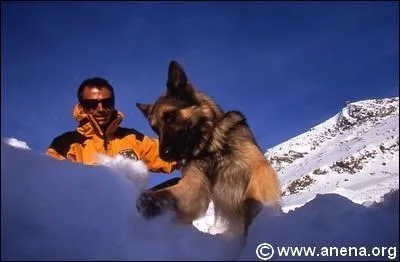 Ce sont aujourd'hui, très souvent, les pisteurs secouristes, vêtus de jaune, qui assurent les secours dans les stations. C'est l'ENSA qui a la charge de leur formation et qui leur décerne leur diplôme de Pisteur national. Où est située l'ENSA (Ecole Nationale de Ski et d'Alpinisme) ?