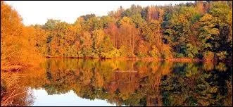 Dans quelle chanson de Joe Dassin trouve-t-on cet extrait : "C'était l'automne, un automne où il faisait beau, une saison qui n'existe que dans le Nord de l'Amérique" ?