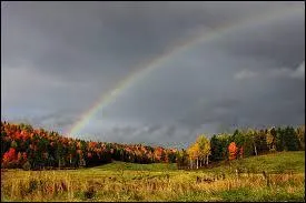 Quel temps représente le mieux l'automne ?