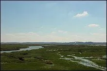 En France, on y trouve une grande r&eacute;serve d'oiseaux marins...