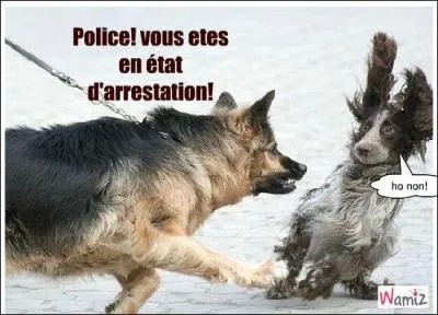 Familièrement, policier :