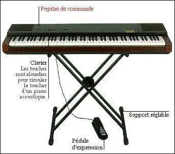 Quel(le) rapport et/ou diff&eacute;rence y a-t-il entre N&icirc;mes, Tulle, Saint-&Eacute;tienne et Rome ?