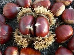 On ne dit plus : ''Je n'aime pas les châtaignes.'' mais...