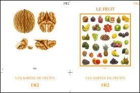 Au sujet de leurs fruits, quel est l'intrus parmi ces arbres ?