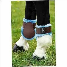 Comment s'appelle cet objet ?