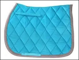 Comment s'appelle cet objet ?