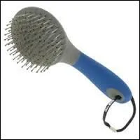Comment s'appelle cette brosse ?