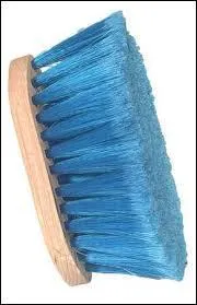 Comment s'appelle cette brosse ?