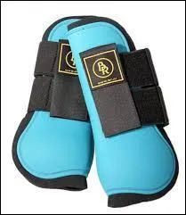 Quelle est la bonne orthographe ?