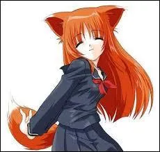 Entre ces deux propositions (car il y en a d'autres), quelles sont les différences entre un livre normal et un manga ?