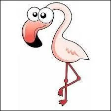 On recense plus de 3 millions de Flamands à l'état sauvage au Botswana.