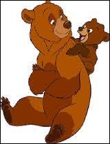 Dans le film d'animation "Frère des ours", comment s'appelle le petit ours orphelin ?