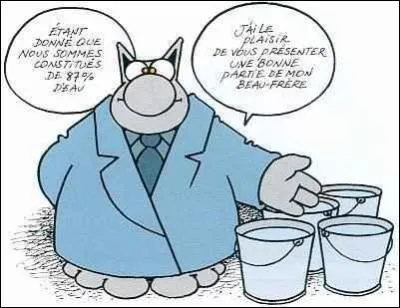 Le corps humain d'un adulte est composé de combien de pourcentage d'eau ?