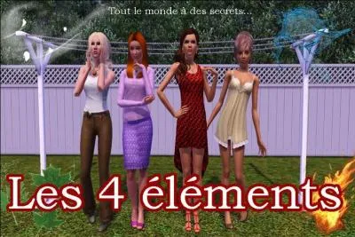 Quel élément ne fait pas partie des 4 éléments dont l'eau ?