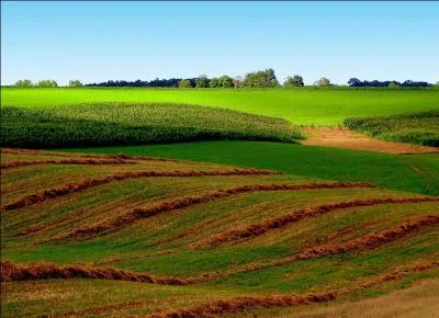 De quel état américain Van Pelt est-elle originaire ?