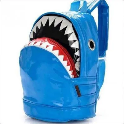 Quel est cet objet ?