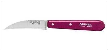 Cet ustensile porte le nom de :