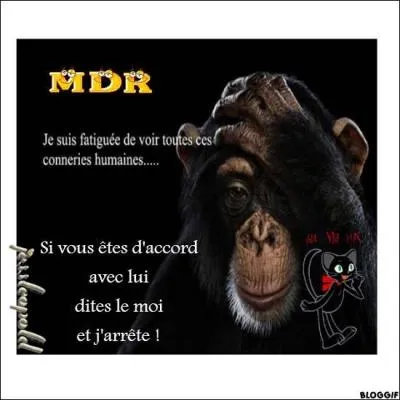 Ne m'en veuillez pas, je vous assure que ça n'est pas de moi, mais de Brassens, quand on l'est, on l'est, je n'y peux rien !